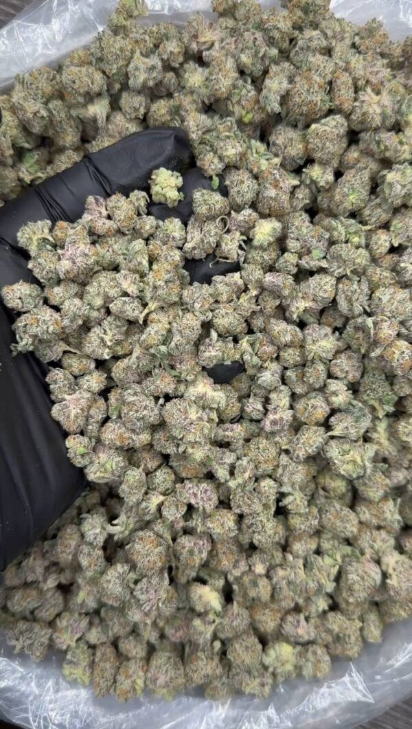 Candy Smalls