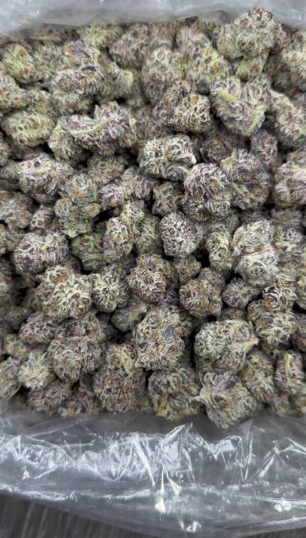 Black Ice Mediums