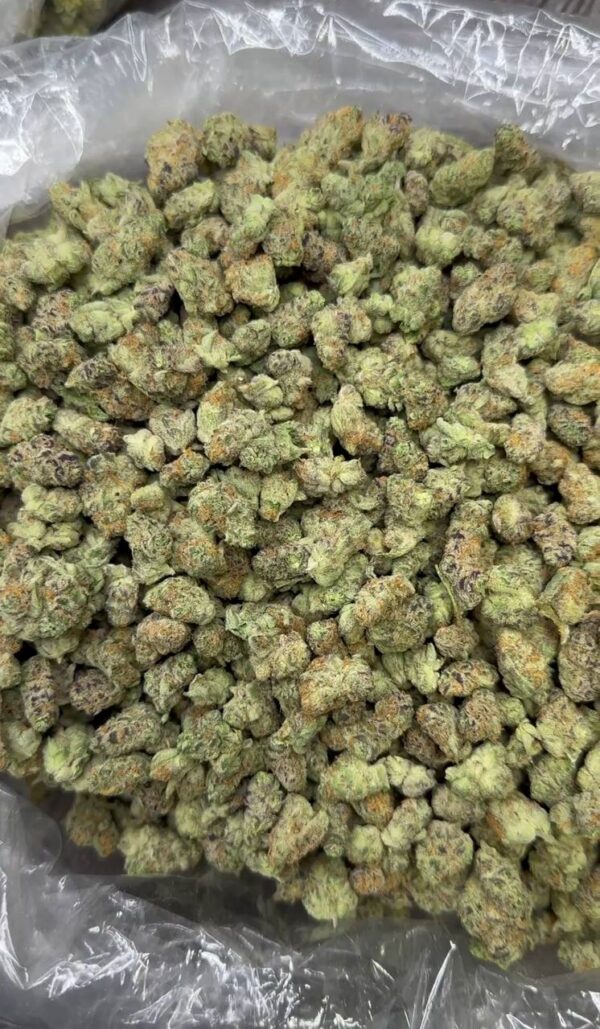 Nerds Smalls (indoor smalls)