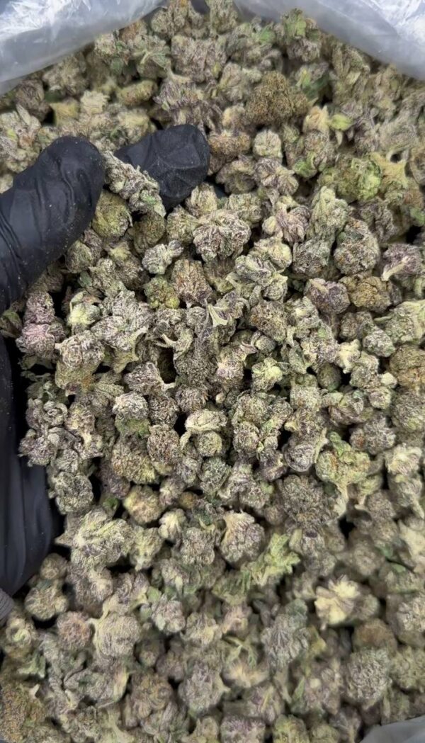 London Pound Cake Smalls