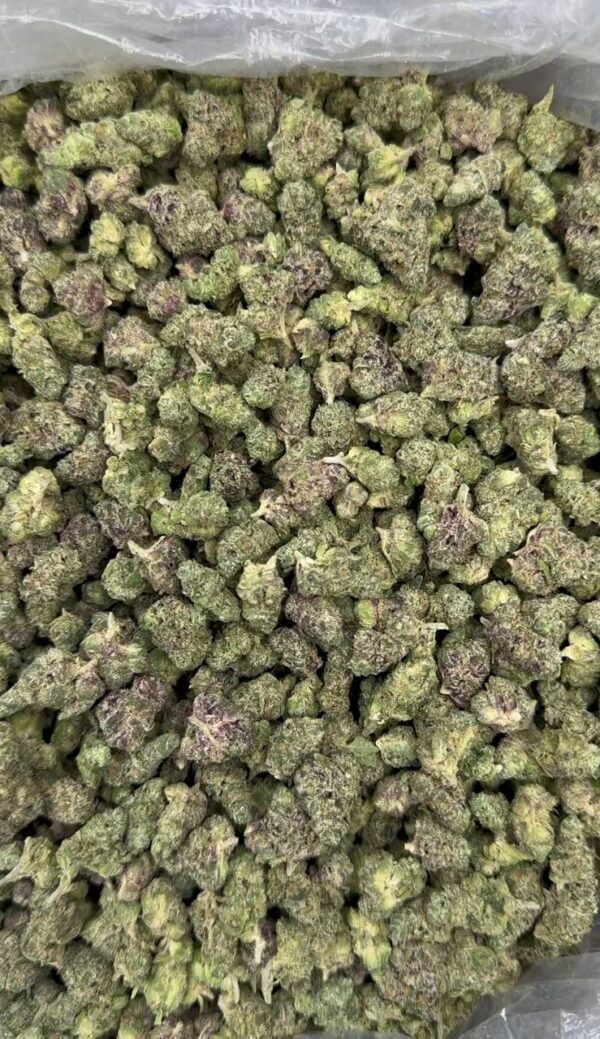 Cherry Runts Smalls (candy nose)