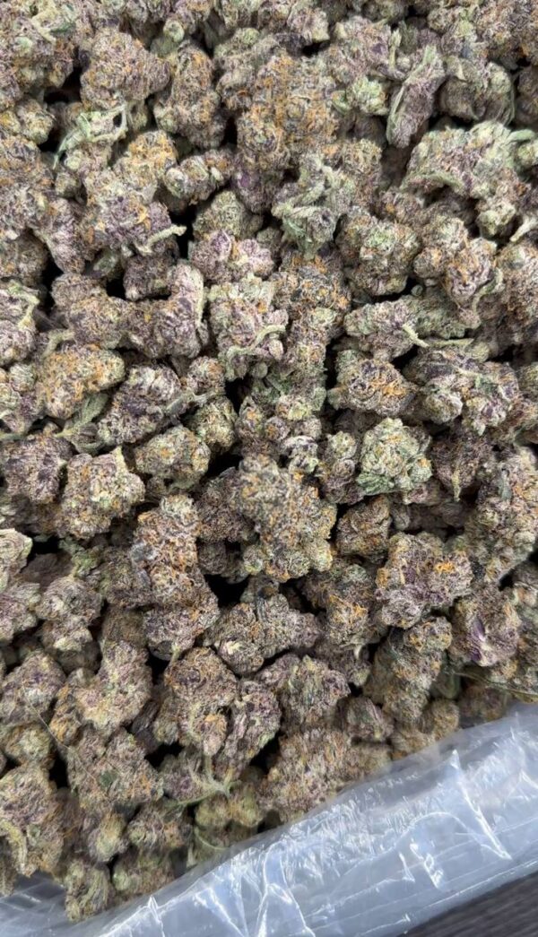 Exotic Gary Payton Mediums