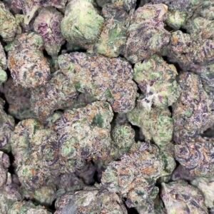 Licensed super runts