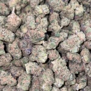 Licensed WAP(Licensed tag included)