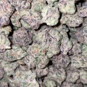 Licensed Ro3 Runtz Smalls