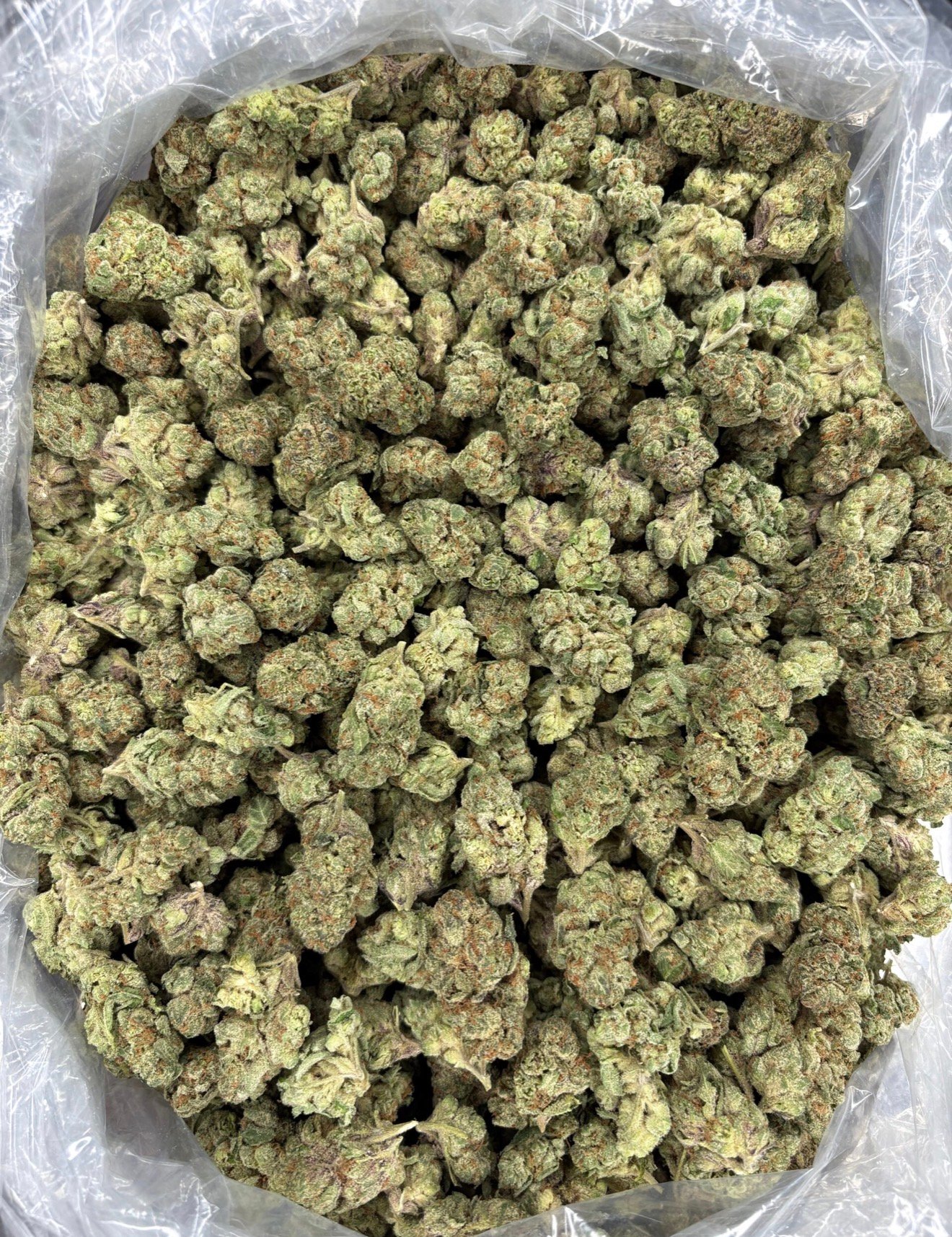 Blue Nerdz