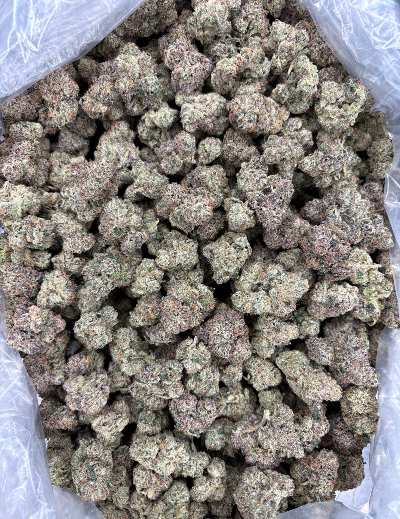 Lemon Cherry Gelato