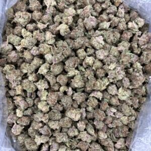 Pave x Blueberry Sugar Smalls