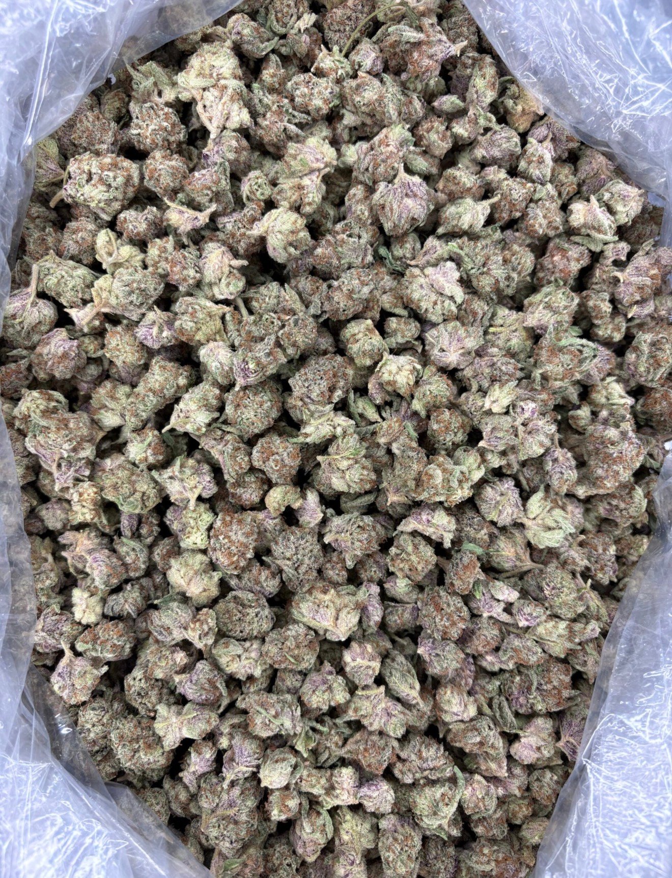Pave x Blueberry Sugar Smalls