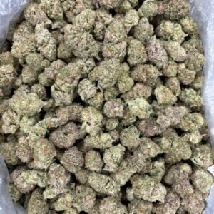 Purple Punch