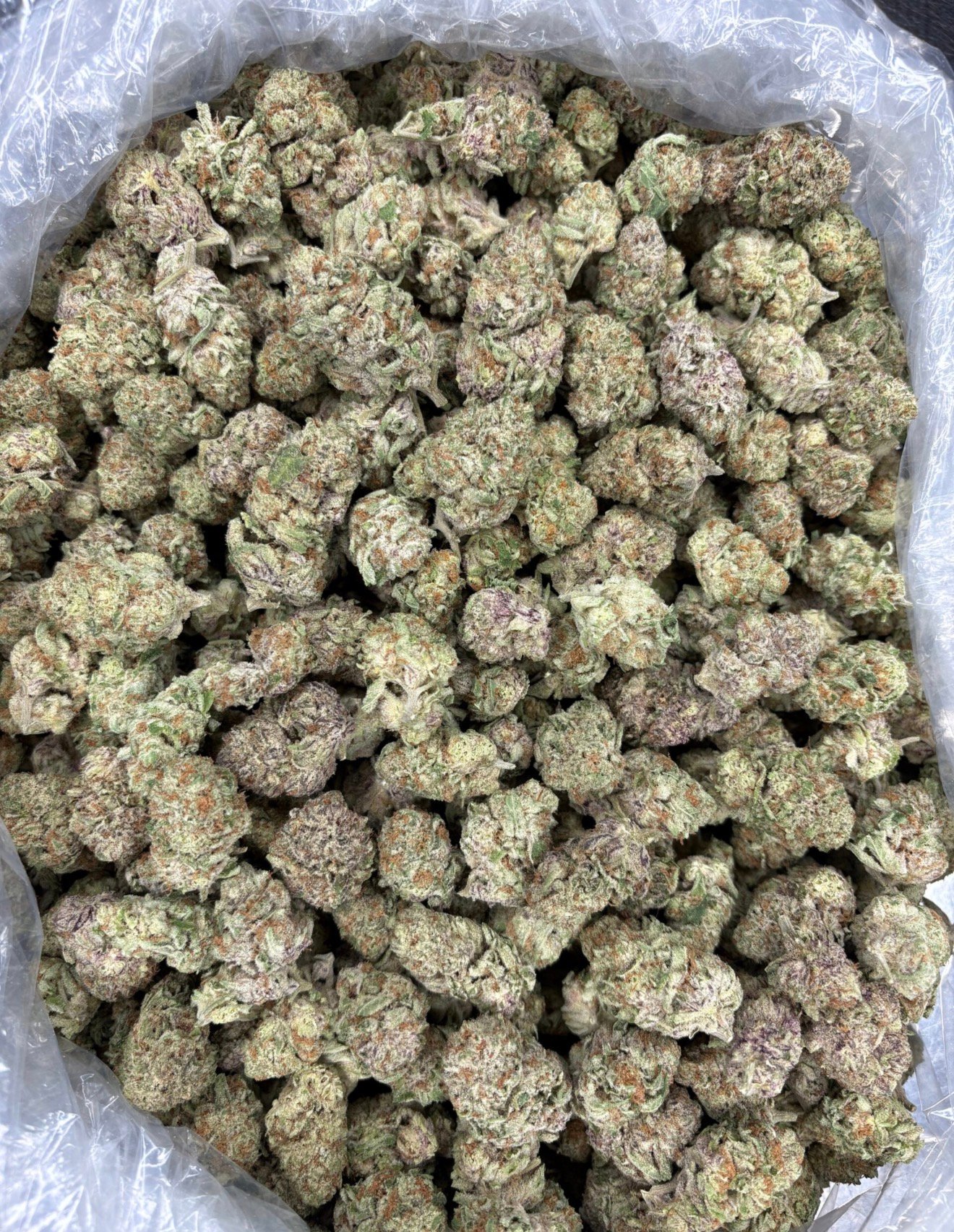 Purple Punch