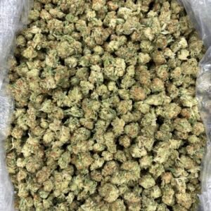 Purple Punch Smalls