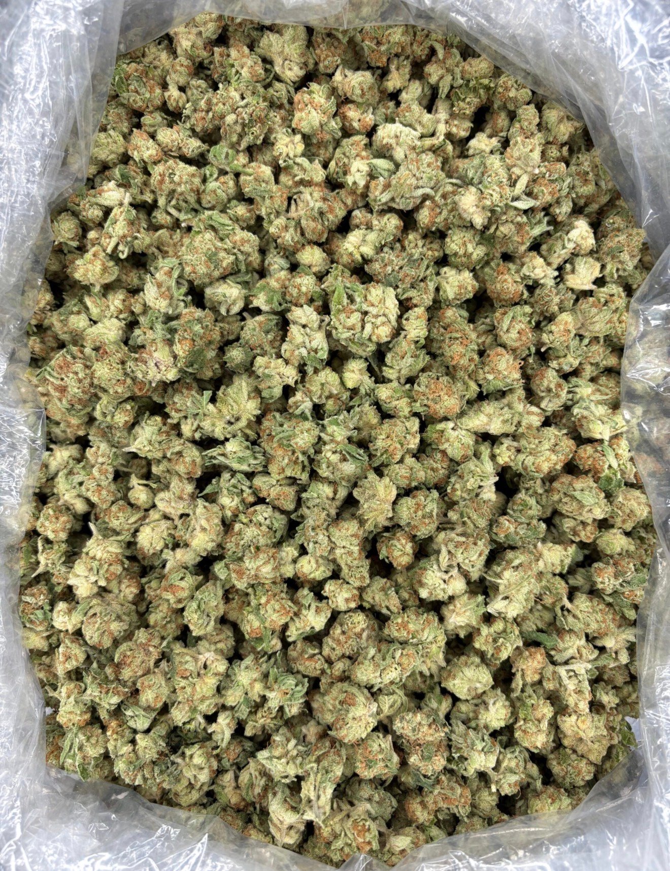 Purple Punch Smalls