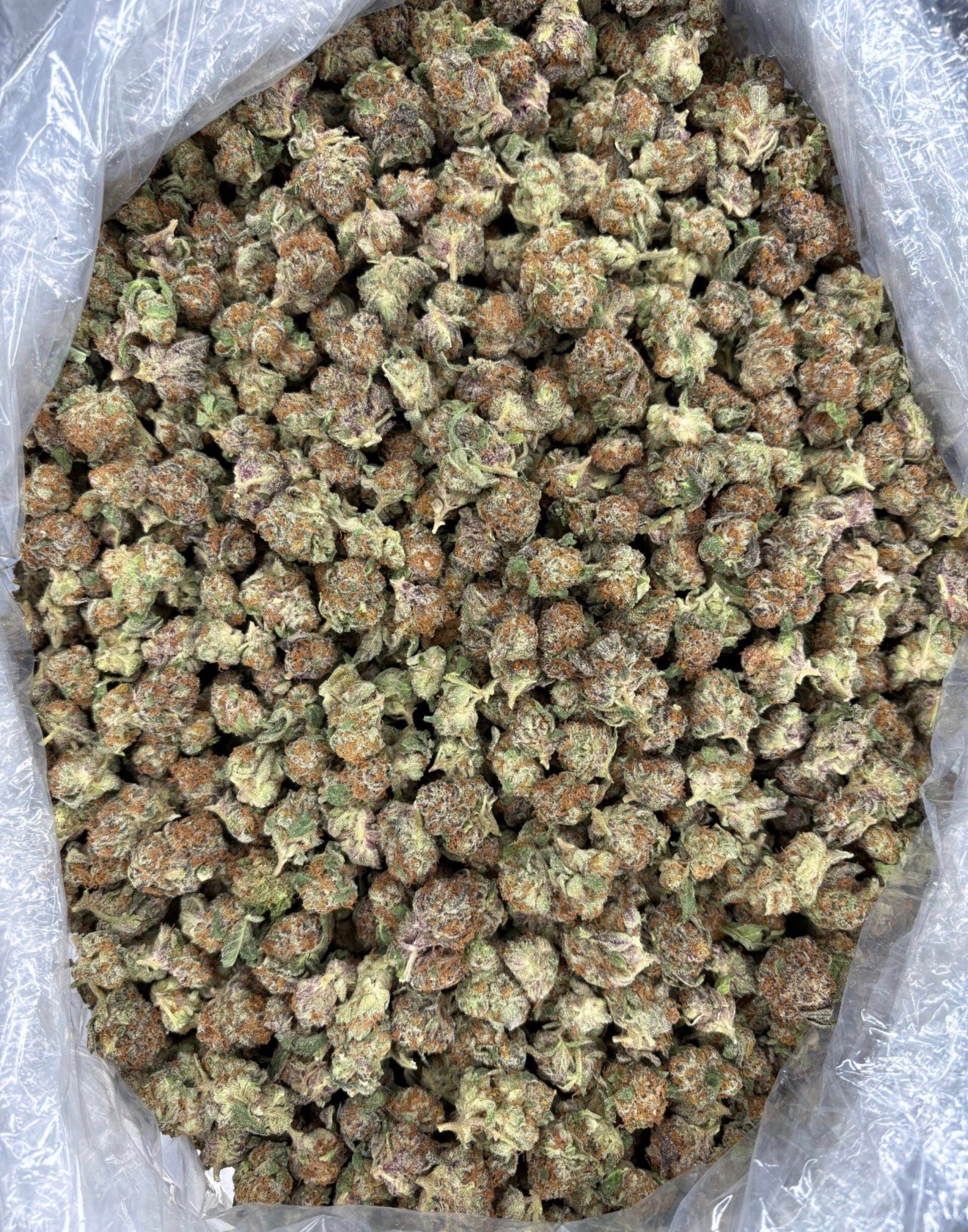 Shisho Smalls