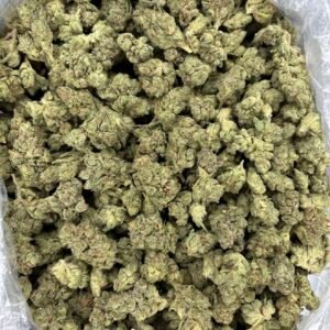 Skunk Gas