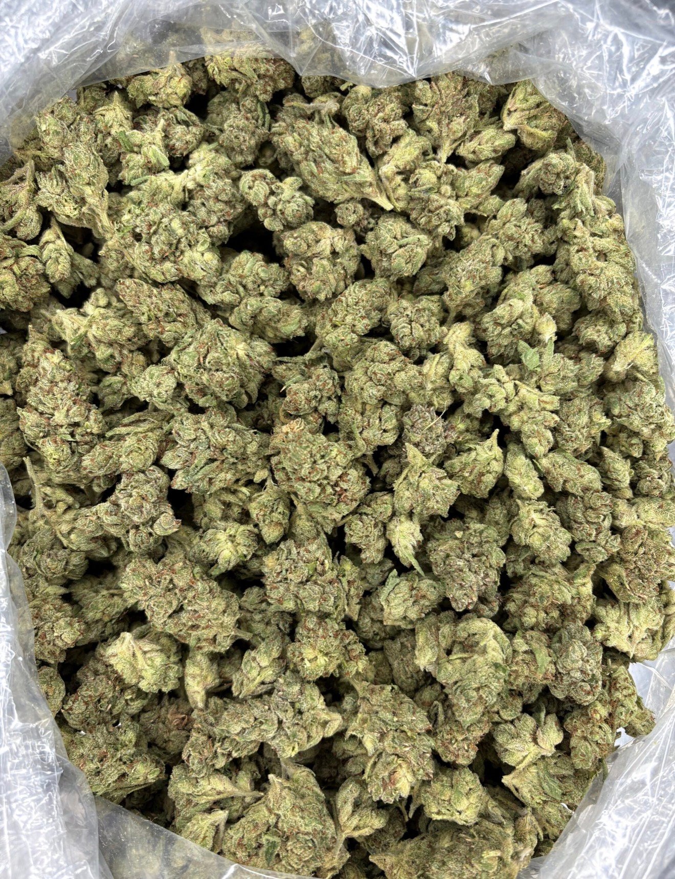 Skunk Gas