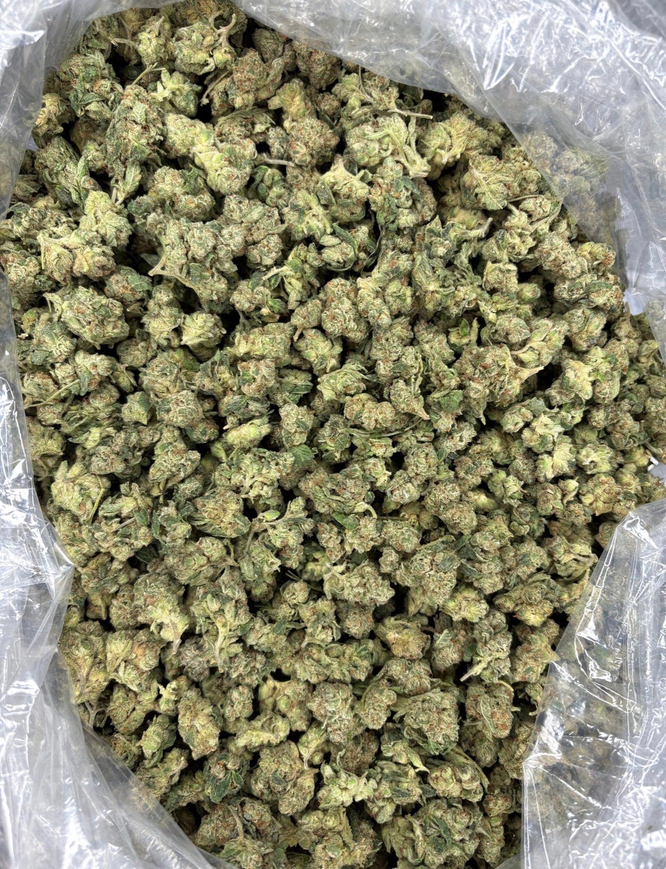 Starberry Cough